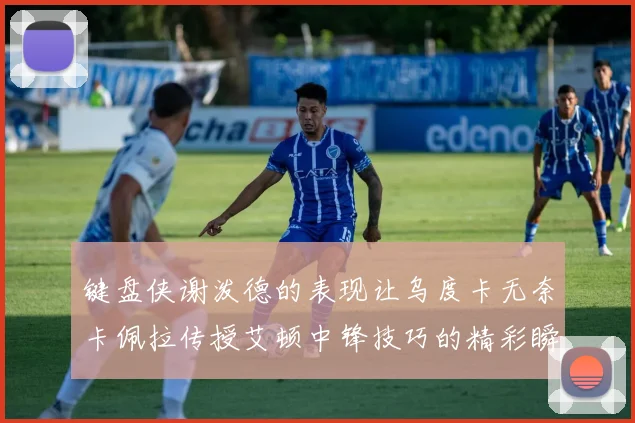 键盘侠谢泼德的表现让乌度卡无奈卡佩拉传授艾顿中锋技巧的精彩瞬间